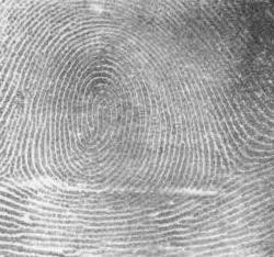 Thumb Print